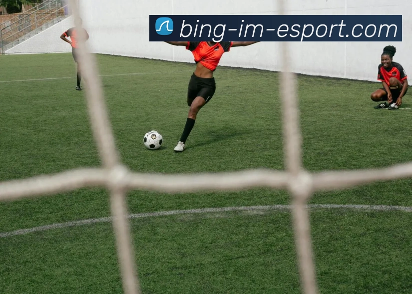 多媒体互动体验